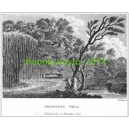 Dropping Well, Knaresborough, Yorkshire, 1825, Illustration, MODERN REPRODUCTION