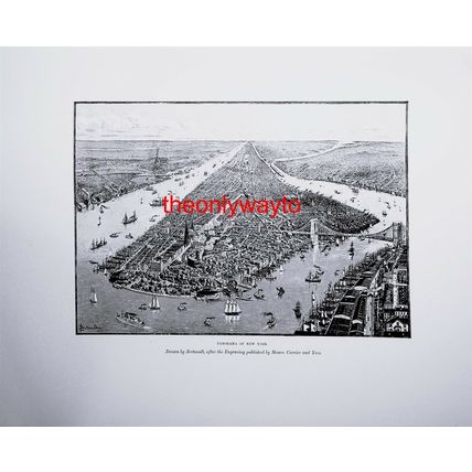 Panorama Of New York, USA, Book Illustration (Print), 1892