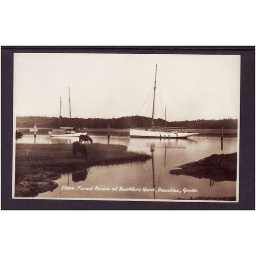 Forest Ponies at Bucklers Hard, Beaulieu, Hants CARD NO 53804 UNUSED