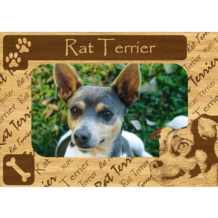 Rat Terrier w Paws Engraved Wood Picture Frame Magnet
