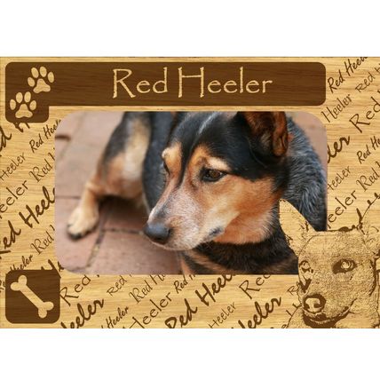 Red Heeler w Paws Engraved Wood Picture Frame Magnet