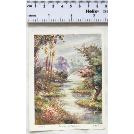 Vintage: God and His World Lesson 11 Beauty of Nautre