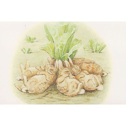 The Tale Of The Flopsy Bunnies Overeating 1909 Beatrix Potter Postcard