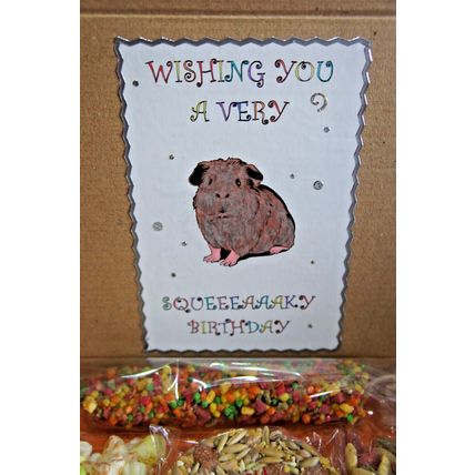 GUINEA PIG BIRTHDAY BOX DECORATED BOX FILLED WITH TREATS FOR A SQEUAKY BIRTHDAY