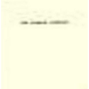 The Common Asphodel - Collected Essays on Poetry, 1922-1949 by Robert Graves