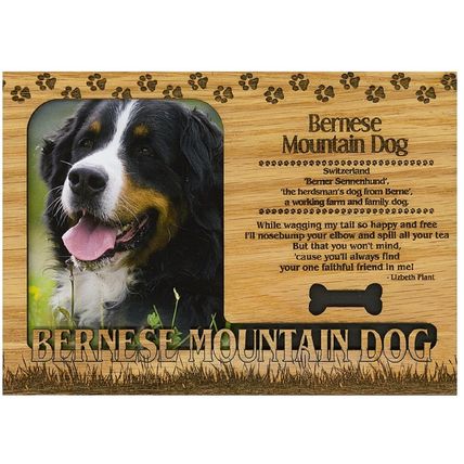 Bernese Mountain Dog Engraved Wood Picture Frame Magnet