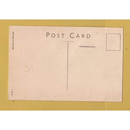 The Ness, Teignmouth. - Postally Unused - M&L Postcard.