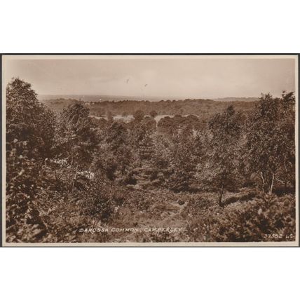 Barossa Common, Camberley, Surrey, c.1940 - RP Postcard