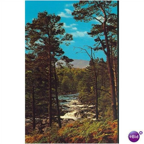 Vintage NPO Dexter Postcard - Tummel River, Perthshire, Scotland - 51306 823598