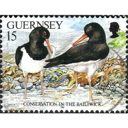 GUERNSEY, BIRD, Eurasian Oystercatcher, Haematopus ostralegus, grey 1991, 15p