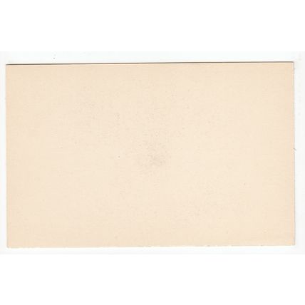 Northern White Rhinoceros Rhino British Museum Plain Back Postcard B37