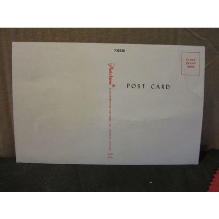 HUMOUR unused postcard by Plastichrome P30538