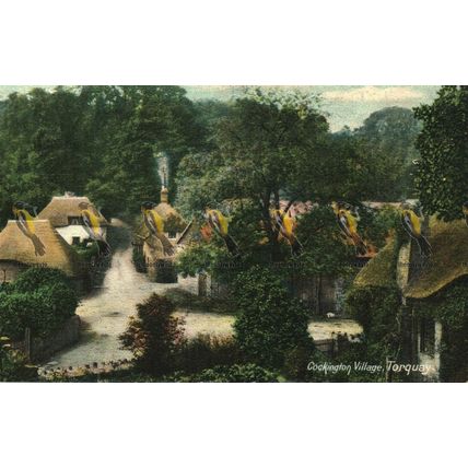 Cockington Village, Torquay, Devon, Frith Saxony Postcard