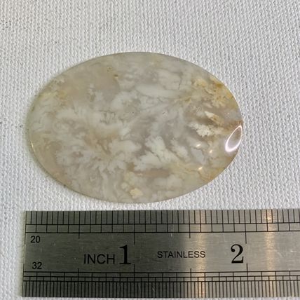 Plume Flower Agate Oval Cabochon Natural Polished Crystal Cab 2"x1.5" 12g 60 CTS