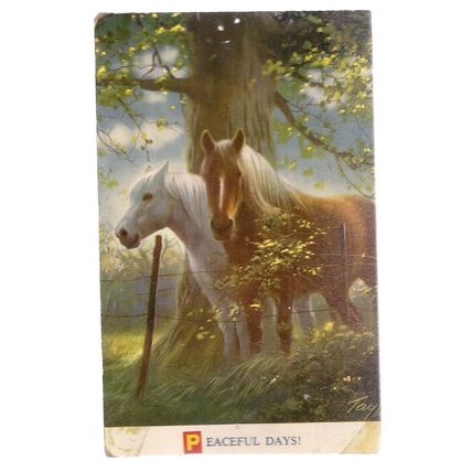 PEACEFUL DAYS! horses.. unused vintage postcard by Bamforth. =