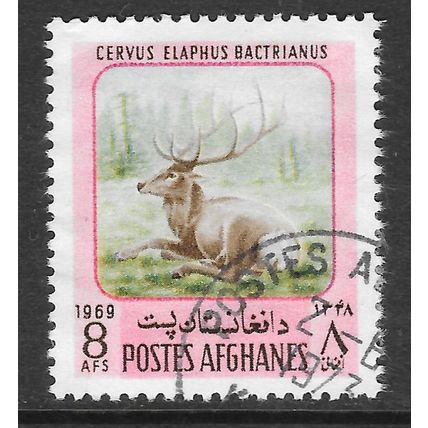 AFGHANISTAN 1969 RED DEER MALE ANTLERS USED
