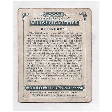 1914 original Wills Dogs 1st A Series large card 10 Otterhound
