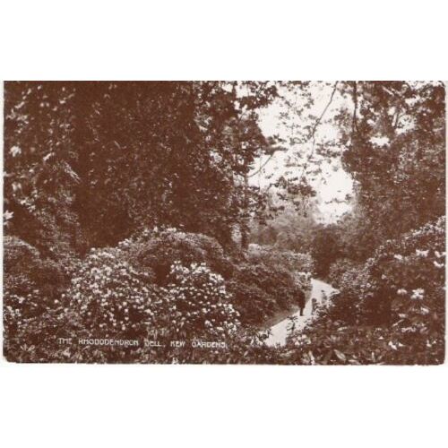London - Kew Gardens - Rhododendron Dell - Gale & Polden postcard c.1920s