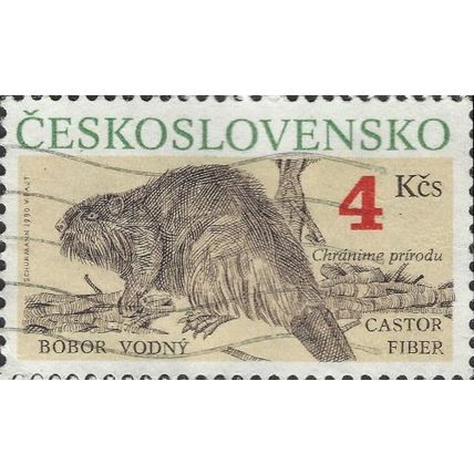 CZECHOSLOVAKIA, MAMMAL, Beaver, Castor Fiber, brown 1990, 4.00Kcs, #3