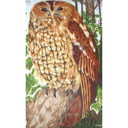 Tawny Owl in the woods cushion pillow