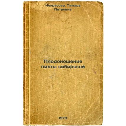 Plodonoshenie pikhty sibirskoy/Fruiting Siberian Fir In Russian