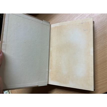 1921 1ST EDITION "DOMESDAY BOOK" EDGAR LEE MASTERS POETRY ANTIQUE BOOK (P4)