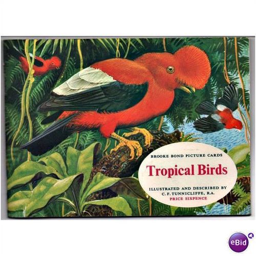 Complete 50 card Brooke Bond collector album Tropical Birds