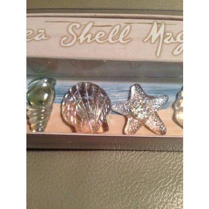 Grasslands Road Sea Shell Magnets "By the Sea" Collection/6 Glass Sea Shells NEW