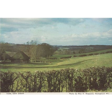Iden Green Farm Kent Postcard