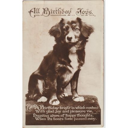 A Sitting Dog ( Mongrel) All Birthday Joys Dog Postcard (QAN0005)