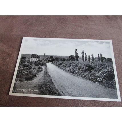 Early Postcard - Danbury Common scene - Chelmsford, Essex