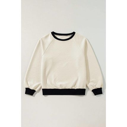 Jet Stream Color Block Edge Raglan Sleeve Crew Neck Textured Top