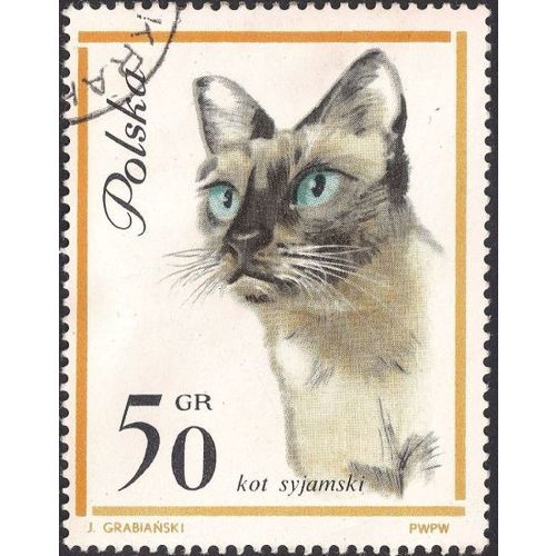 POLAND, Siamese cat, yellow 1964, 50 Gr