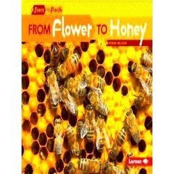 From Flower To Honey