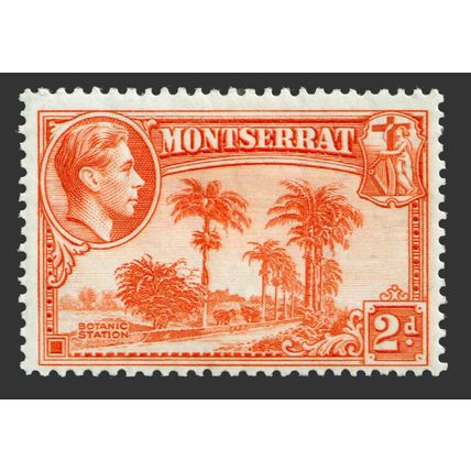 Montserrat KGVI 1938-48 2d Orange P13 SG104 Mint MH