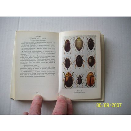 The Observer"s Book of Pond Life 1969 Dust Jacket not clipped