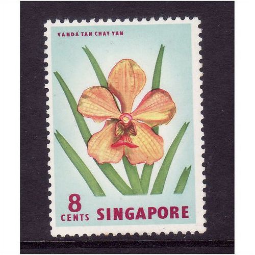 Singapore 1963 8c Vanda Orchid sg 68 m / mint