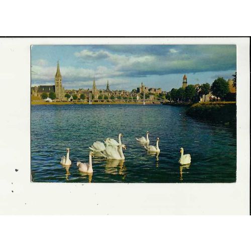 INVERNESS Swans Postcard by J. Arthur Dixon (3888 G)