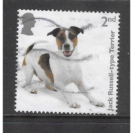 2024 Dogs - Jack Russel type Terrier- used