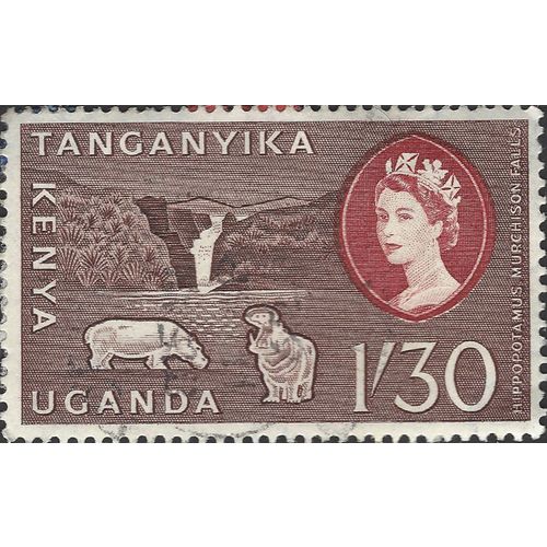 KUT, MAMMAL, Hippopotamus, Murchison Falls, violet 1960, 1/30