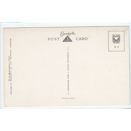 Llanfairpwllgwyngyll Postcard Anglesey W55