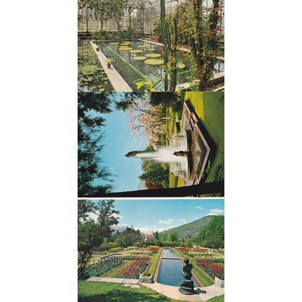 Verbania Pallanza Giardini Botanici Di Villa Taranto 3x Italy Postcard s