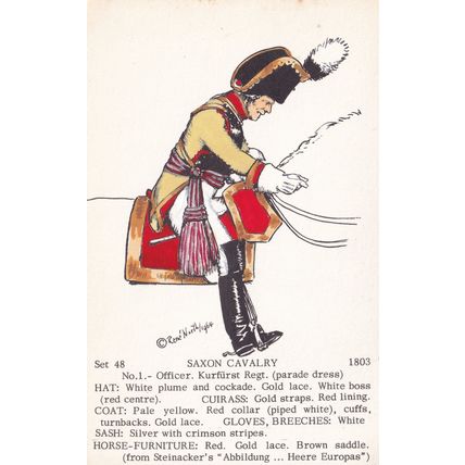 Officer Saxon Kurfurst Regiment Napoleonic War PB Uniform Postcard