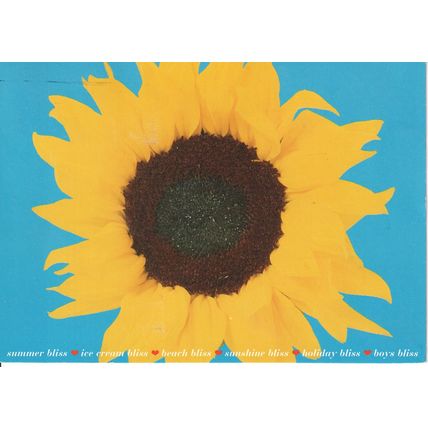 GB postcard 1995 - Sunflower