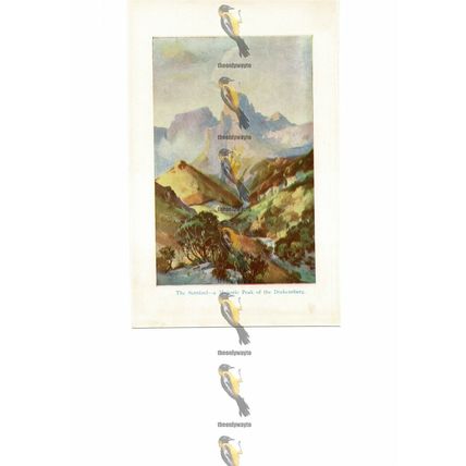 Sentinel, Peak of Drakensberg, South Africa, Book Illustration (Print), 1929