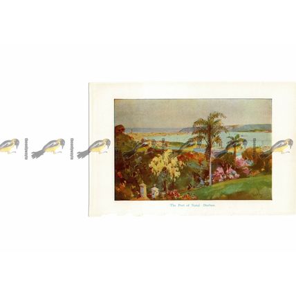 Arrival Settlers Algoa Bay 1820, South Africa, Book Illustration (Print), 1929