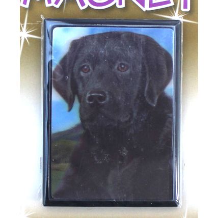 Black Labrador 3D fridge magnet Great Christmas stocking filler