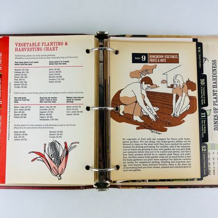 The Basic Illustrated Indoor/Outdoor Plant and Garden Guide Ring-Bound 1973