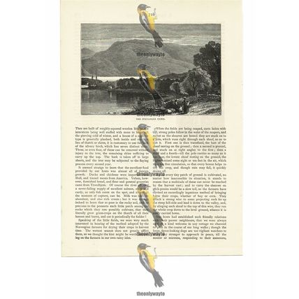 Stavanger Fjord, Norway, Book Illustration (Print), 1884