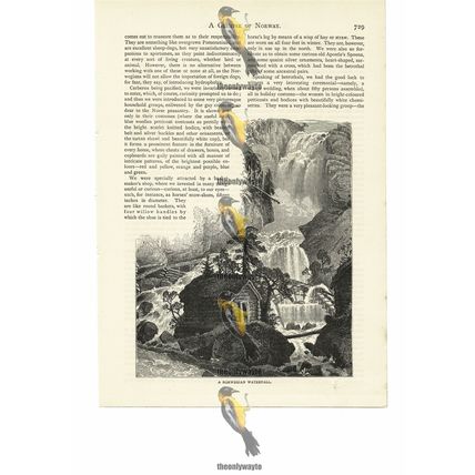 Norwegian Waterfall, Norway, Book Illustration (Print), 1884